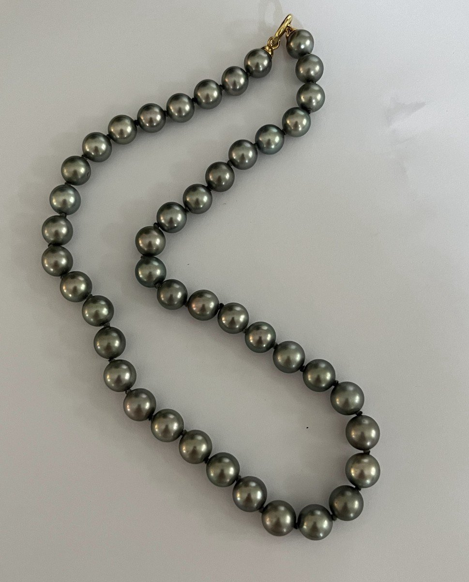 6063- Collier Perles De Tahiti Grises 46 Cm