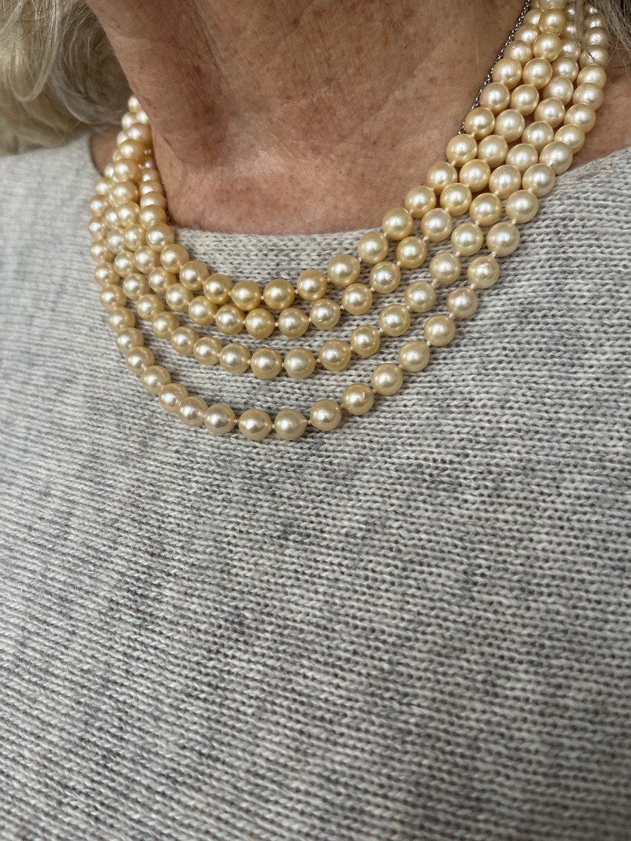 5997- 4 Row Pearl Necklace Yellow Gold Clasp-photo-2