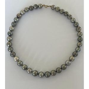 4994- Collier De Perles De Tahiti En Légère Chute 12,4 à 9,7 Mm