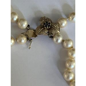 5627- 2 Rows Of Pearls Necklace With Gray Gold Clasp