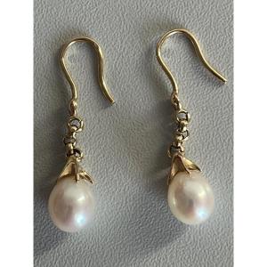 4938- Yellow Gold Pearl Earrings