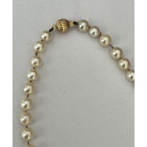 5880- Collier Choker Perles Akoya Fermoir Boule Or Jaune