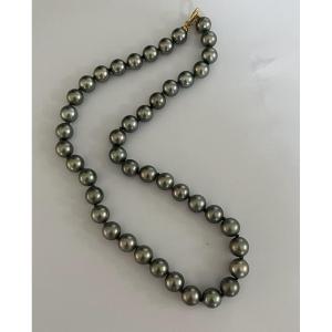 6063- Grey Tahitian Pearl Necklace 46 Cm