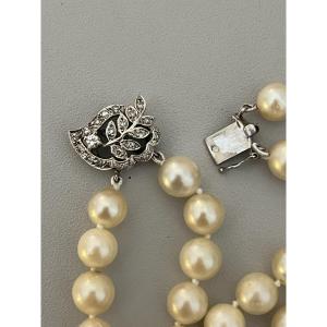 6143- 2 Row Akoya Pearl Necklace White Gold Clasp Diamonds