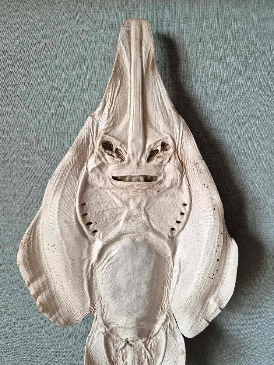 Jenny Haniver Ocean Chimera-photo-2