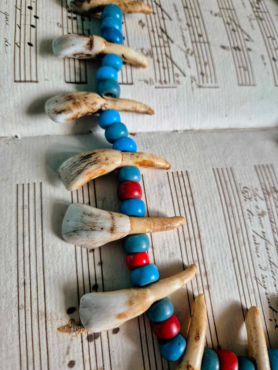 Plains Indian Reservation Necklace - Trade Beads And Buffalo Teeth-photo-2