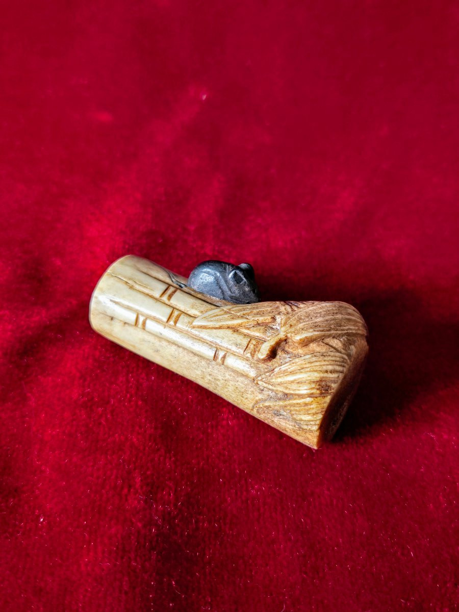 Deer Horn Netsuke 19th Century Japanese Art-photo-3