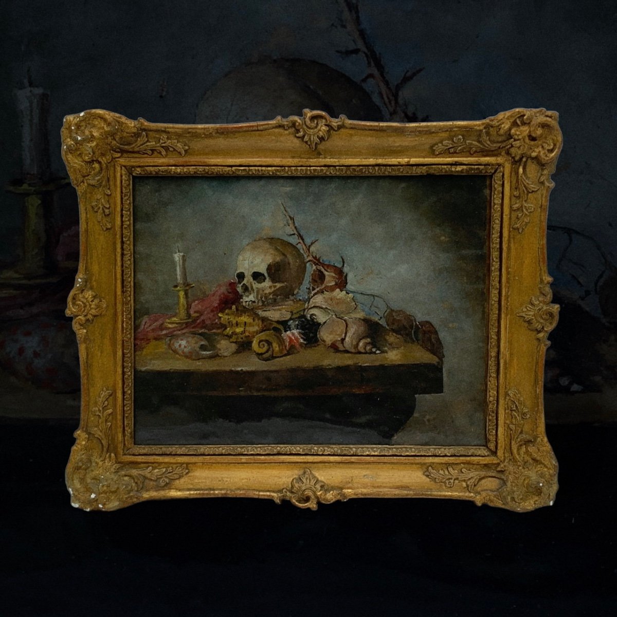 Nature Morte Aux Vanitas Et Coquillages