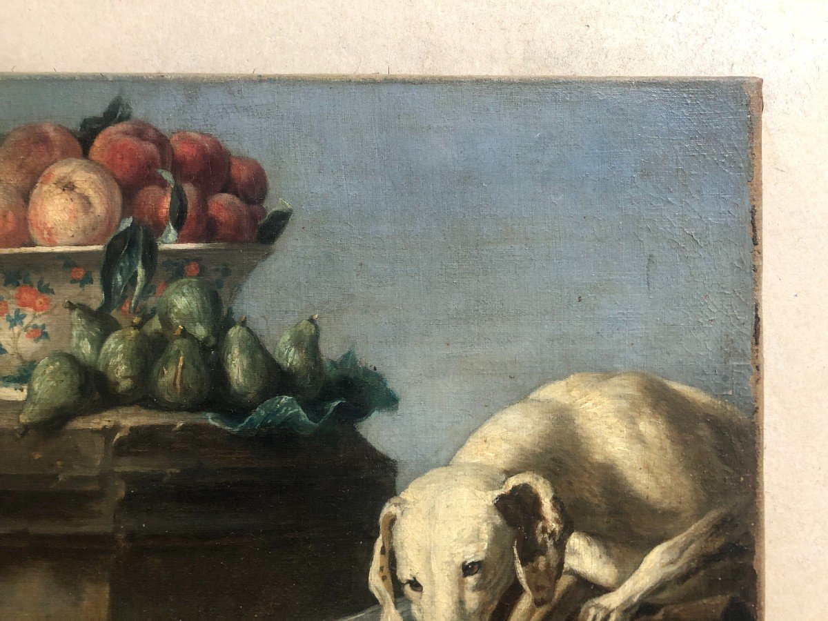 Chien De Chasse, Gibier Et Coupe De Fruits, Huile Sur Toile XIXe-photo-1