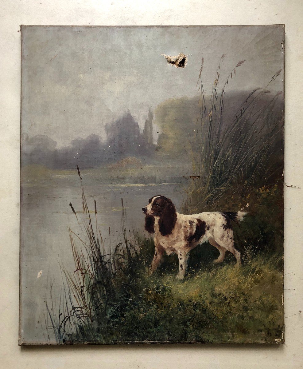 Hunting Dogs, Pair Of Oils On Canvas, Late 19th Century-photo-2