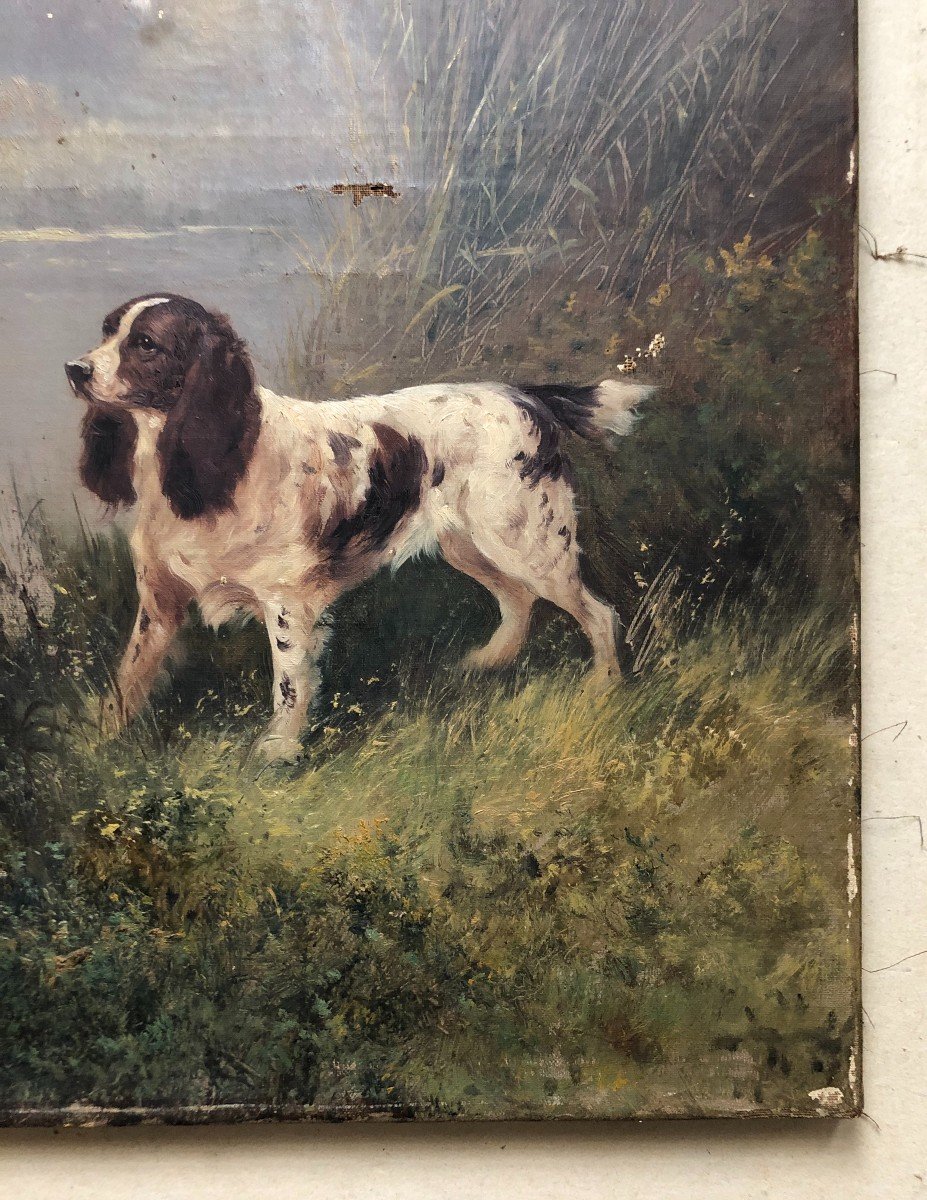 Hunting Dogs, Pair Of Oils On Canvas, Late 19th Century-photo-1