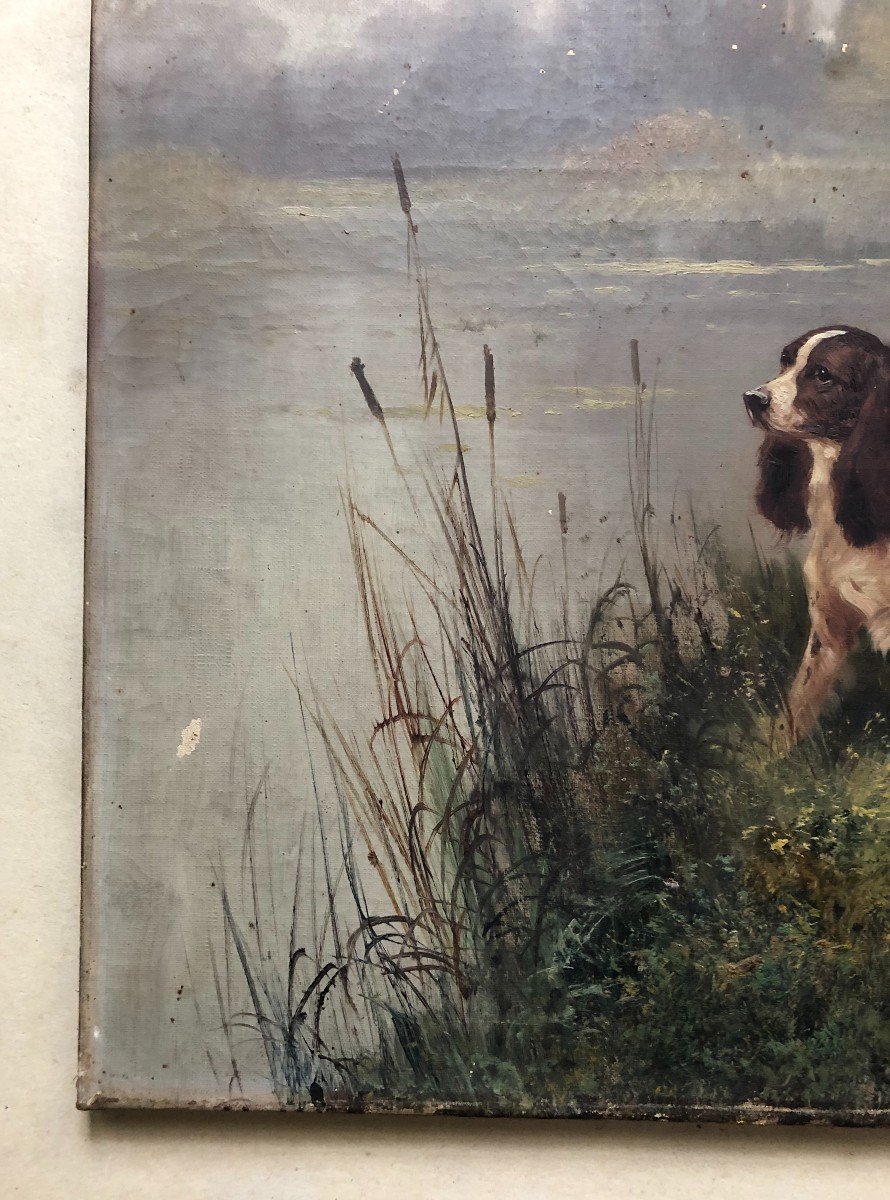 Hunting Dogs, Pair Of Oils On Canvas, Late 19th Century-photo-2