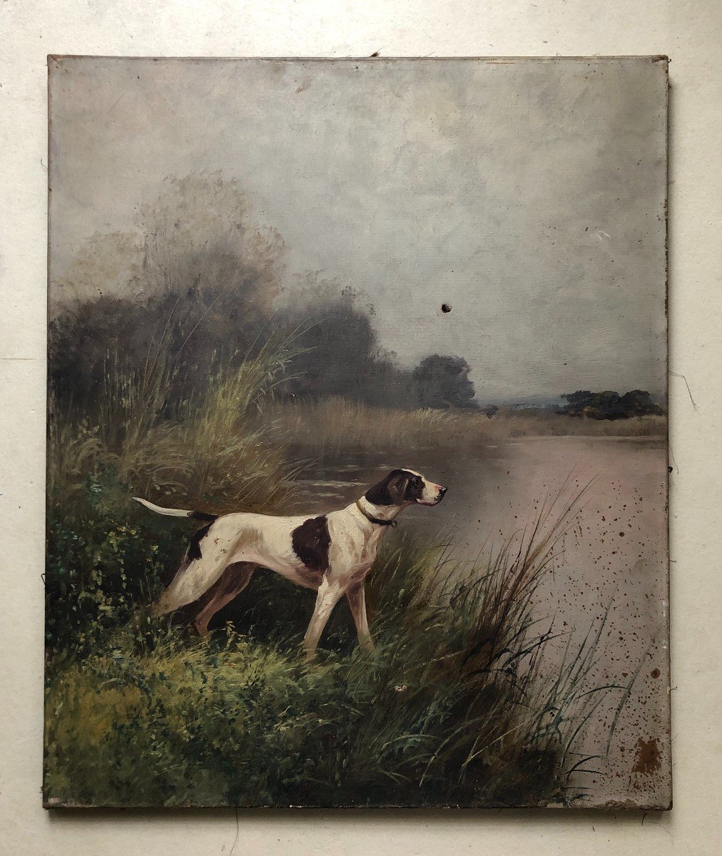 Hunting Dogs, Pair Of Oils On Canvas, Late 19th Century-photo-3