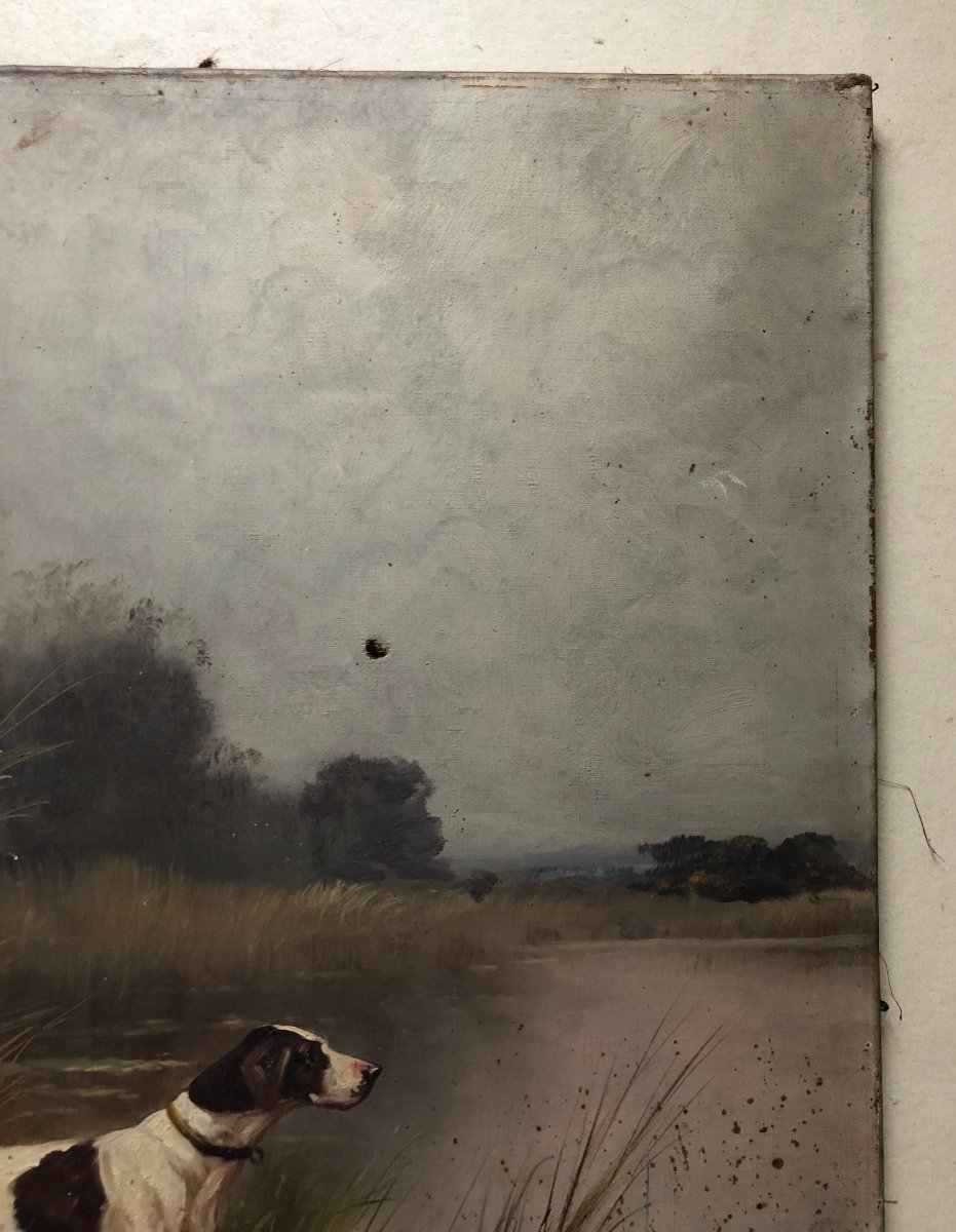 Hunting Dogs, Pair Of Oils On Canvas, Late 19th Century-photo-5