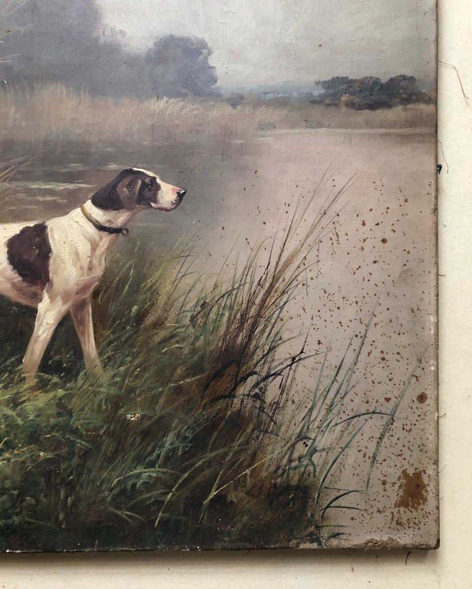 Hunting Dogs, Pair Of Oils On Canvas, Late 19th Century-photo-6