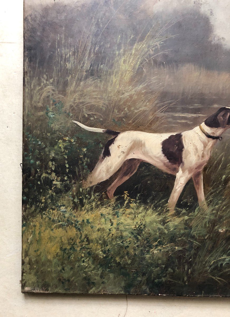 Hunting Dogs, Pair Of Oils On Canvas, Late 19th Century-photo-7