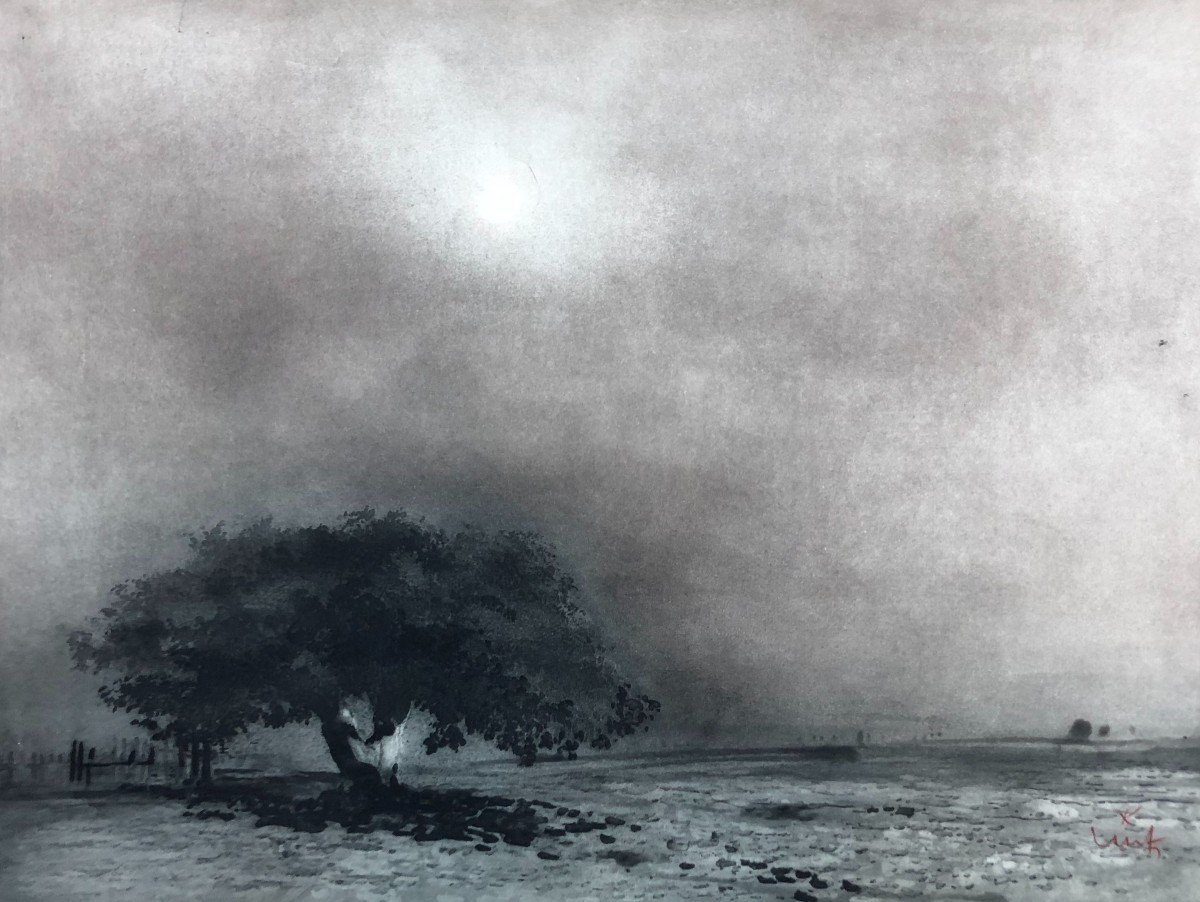 Tree In A Landscape, Lithograph, Signature To Identify