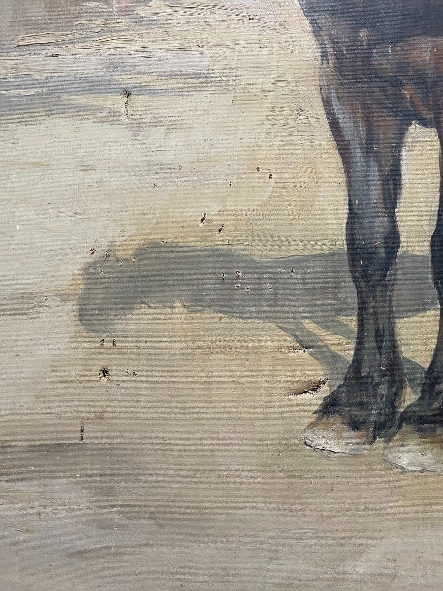 Clémentine Hélène Dufau, Harnessed Horses, Oil On Canvas, Large Format-photo-5