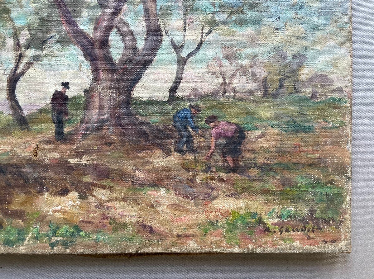 The Fruit Harvest, Oil On Canvas, Signature To Be Identified-photo-2