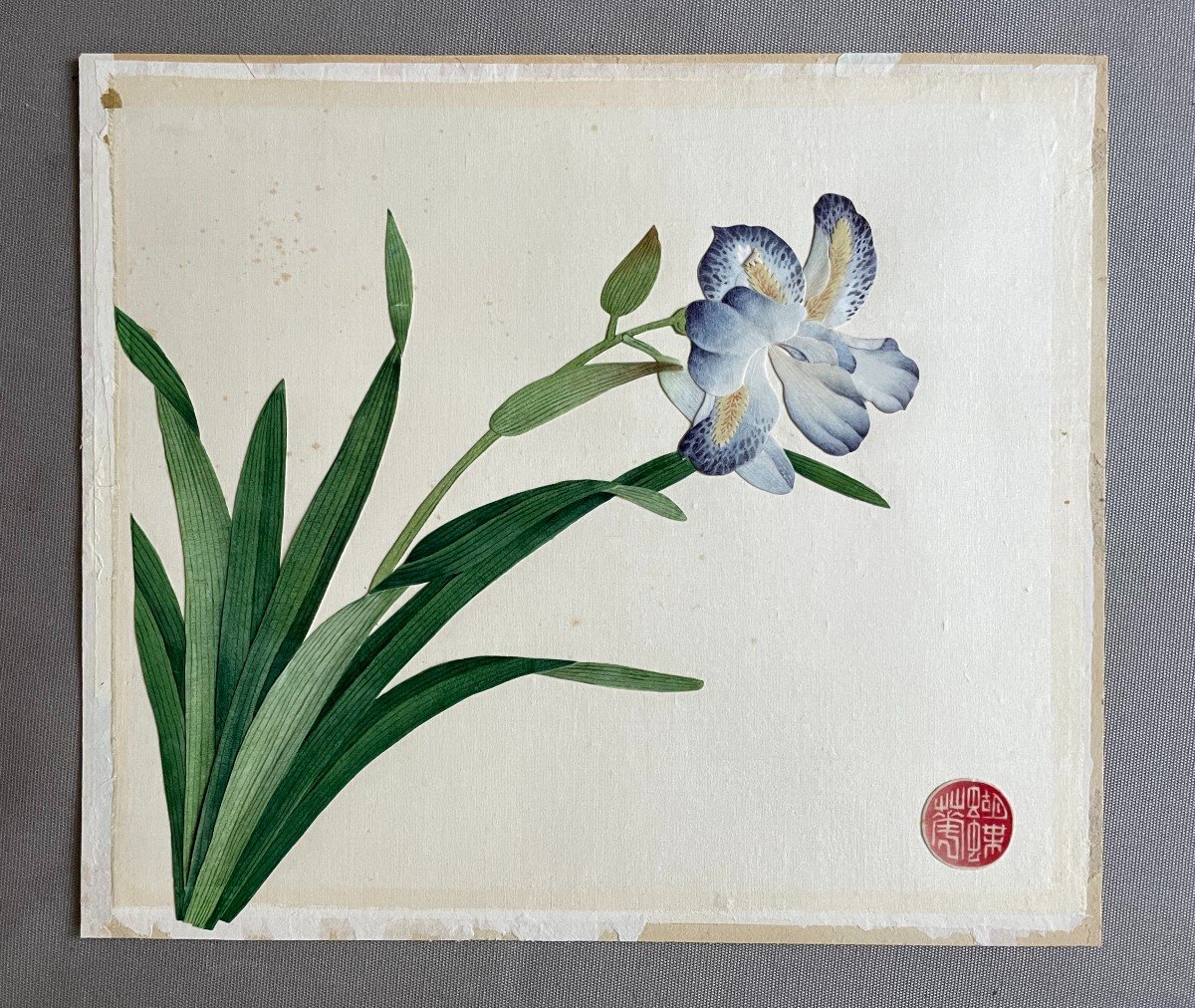 Iris, Collage, Watercolor, Japan?-photo-2