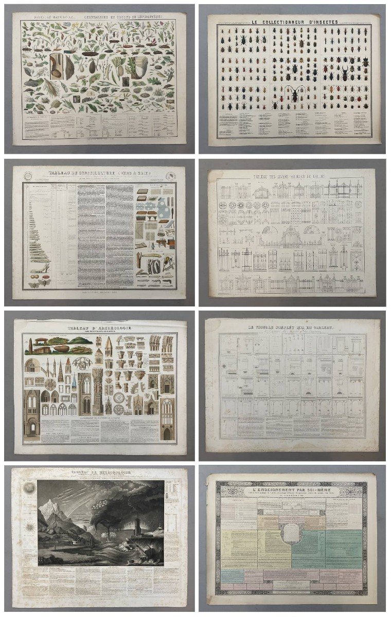 Paléontologie (Fossiles), Planche Pédagogique Bouasse-Lebel -photo-6