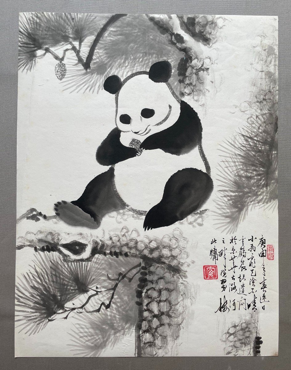 Panda, Lavis d'Encre, Chine, XXe-photo-2