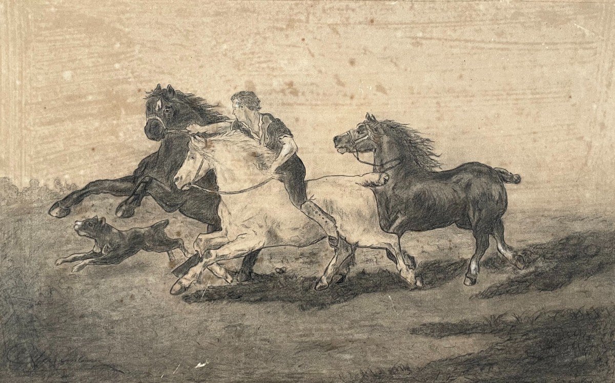 The Cavalcade, Charcoal Drawing, Signature To Identify