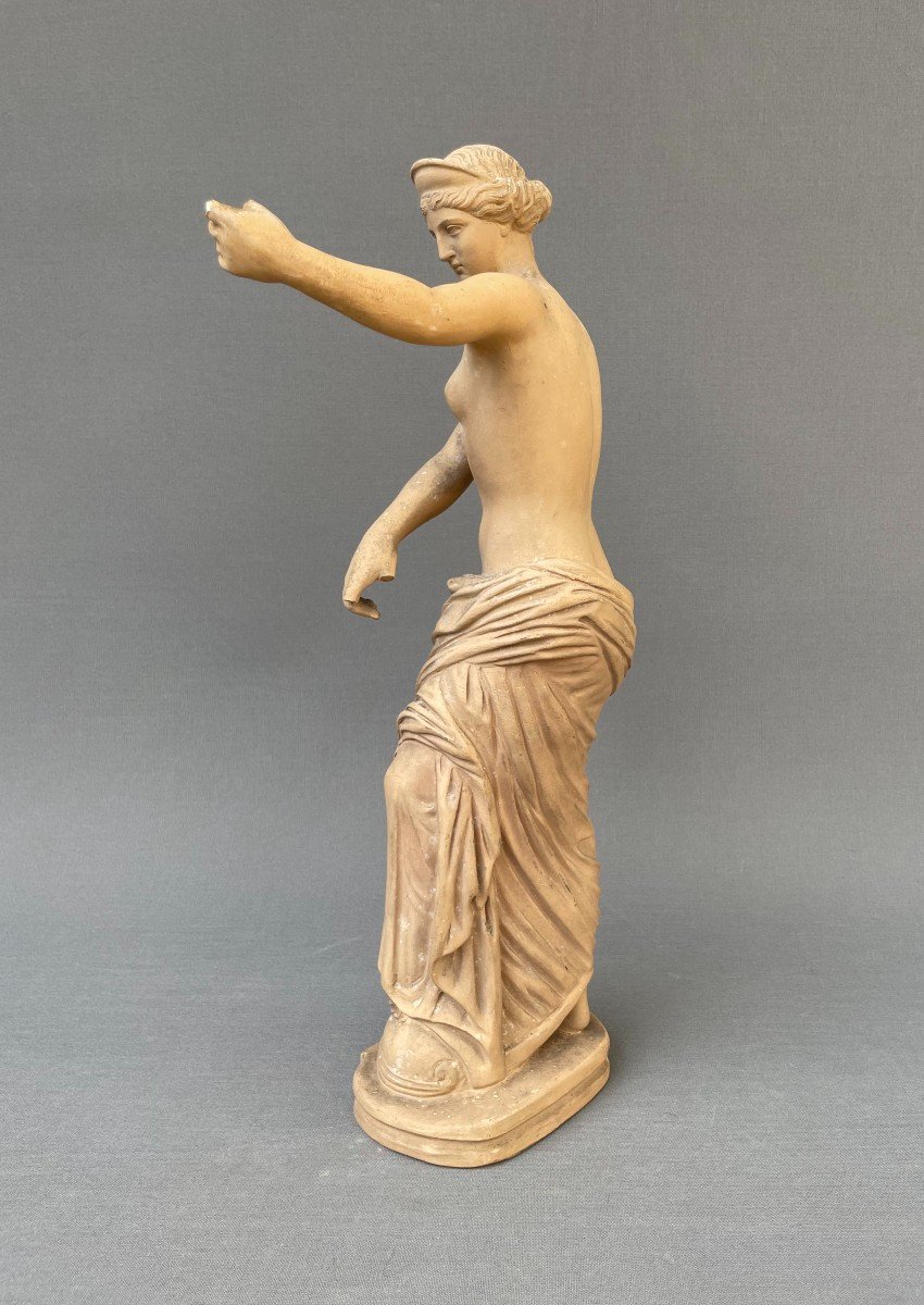 Venus In Terracotta, 19th Century-photo-3