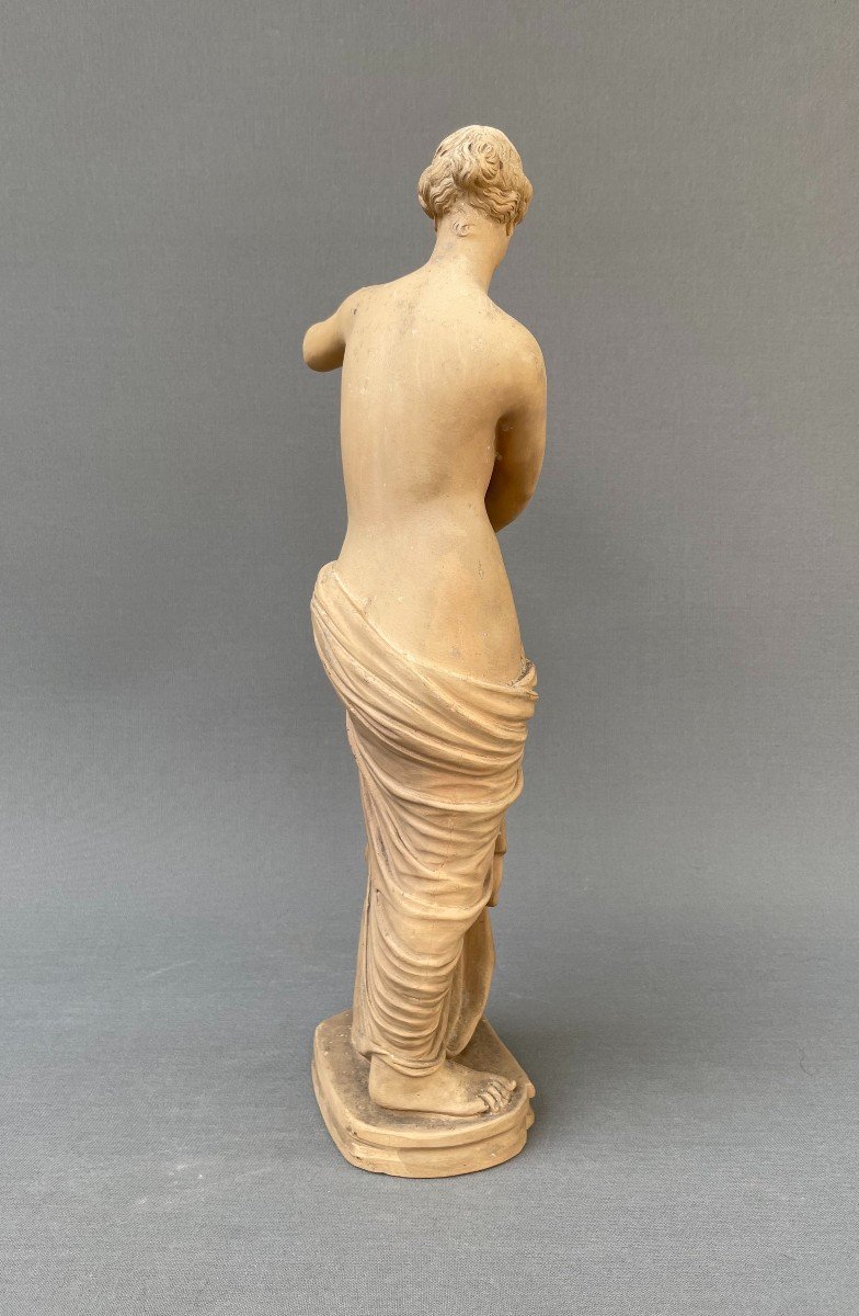 Venus In Terracotta, 19th Century-photo-1