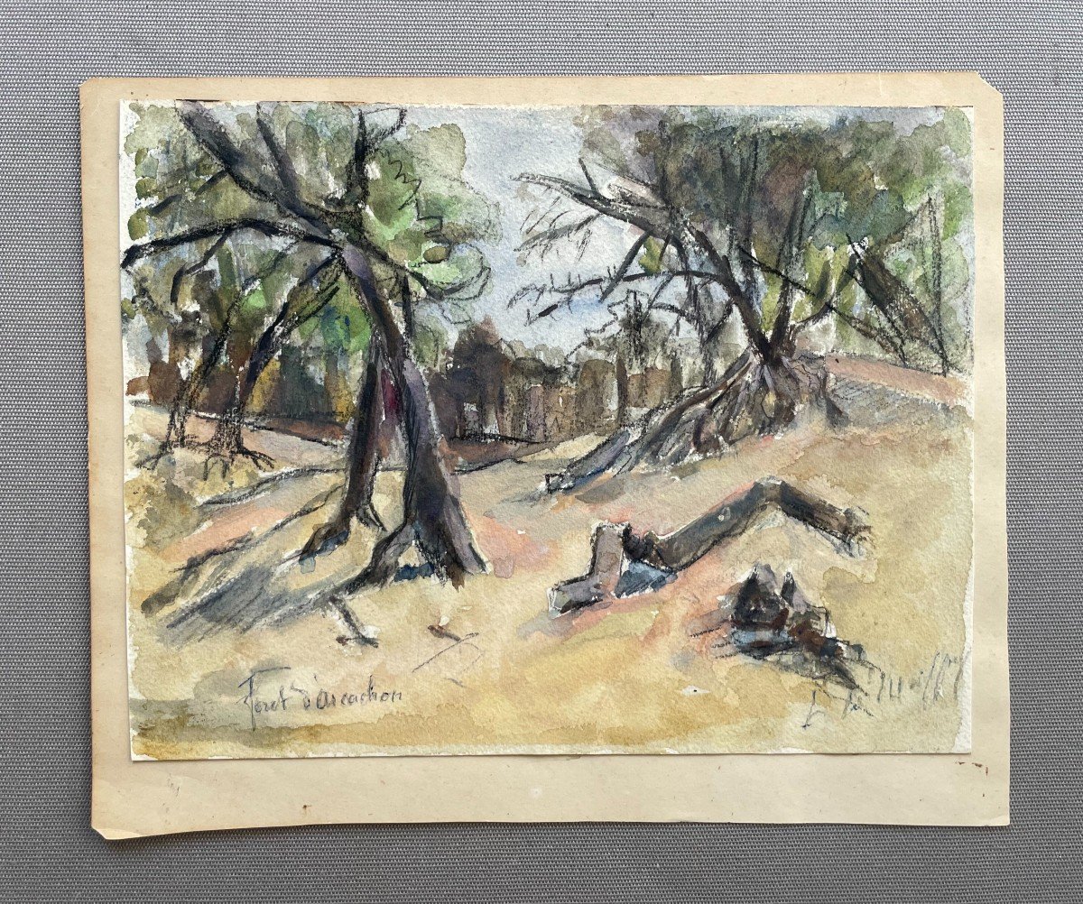 Arcachon Forest, Watercolor Drawing-photo-2