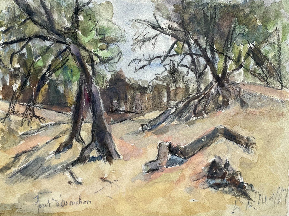 Arcachon Forest, Watercolor Drawing