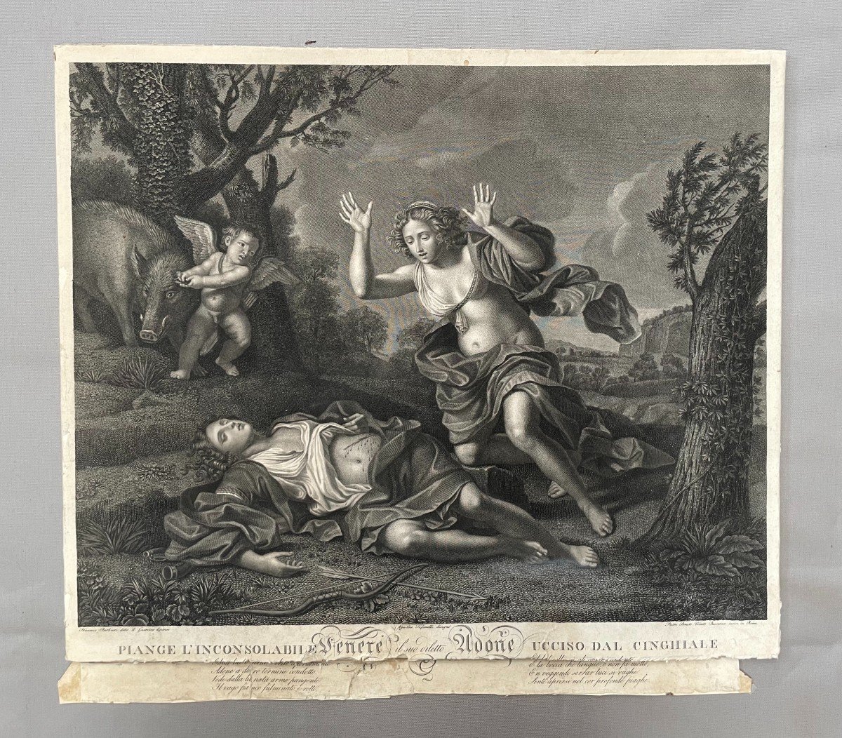 Venus And Adonis Engraving By Pietro Bonato Veneto Bassanese After Francesco Barbieri-photo-2