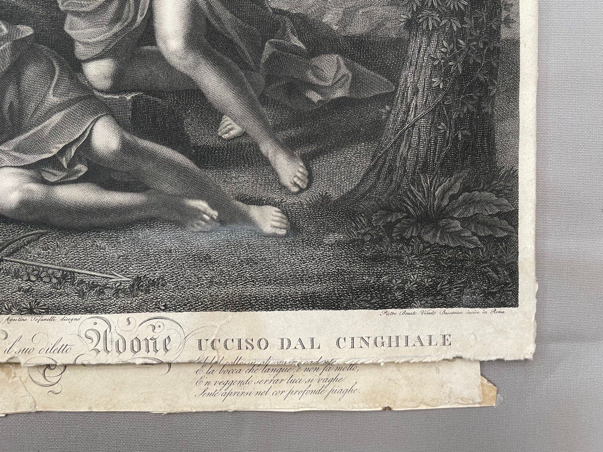 Venus And Adonis Engraving By Pietro Bonato Veneto Bassanese After Francesco Barbieri-photo-1