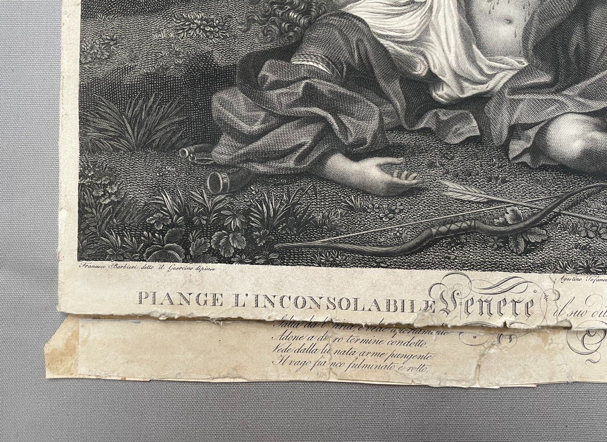 Venus And Adonis Engraving By Pietro Bonato Veneto Bassanese After Francesco Barbieri-photo-2