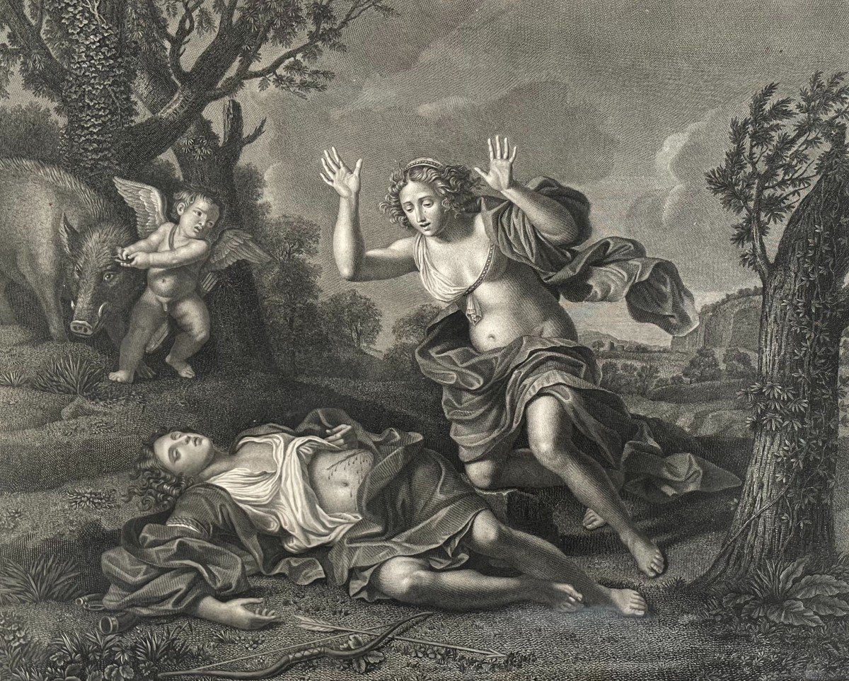 Venus And Adonis Engraving By Pietro Bonato Veneto Bassanese After Francesco Barbieri