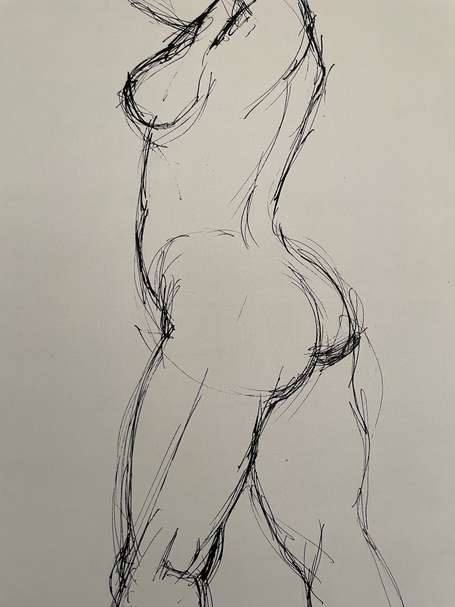 Female Nude, Ink Drawing, Signature To Identify-photo-1