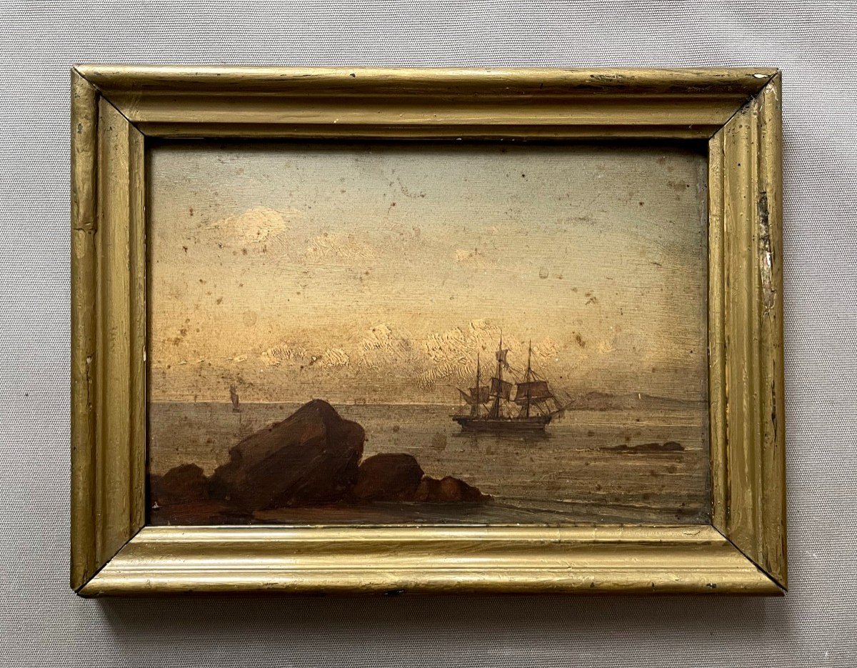 Marine, Small Oil On Cardboard 19th Century, Signature To Identify-photo-2