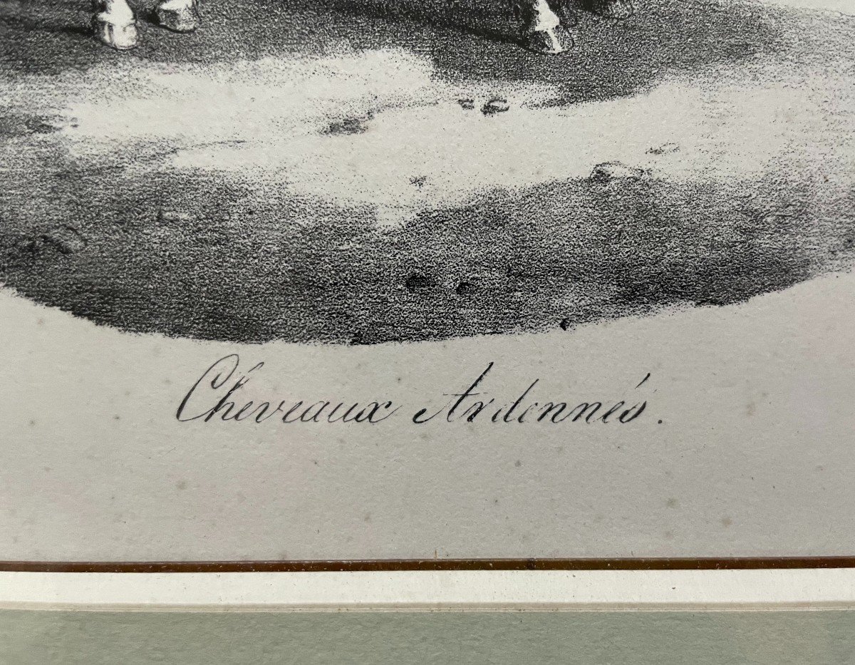 Chevaux, Deux Lithographies d'Après Géricault-photo-4