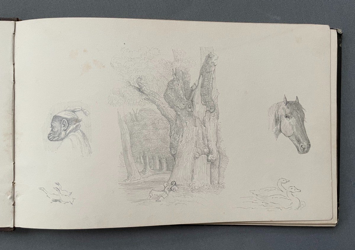 19th Century Drawing Album, 44 Pages-photo-3