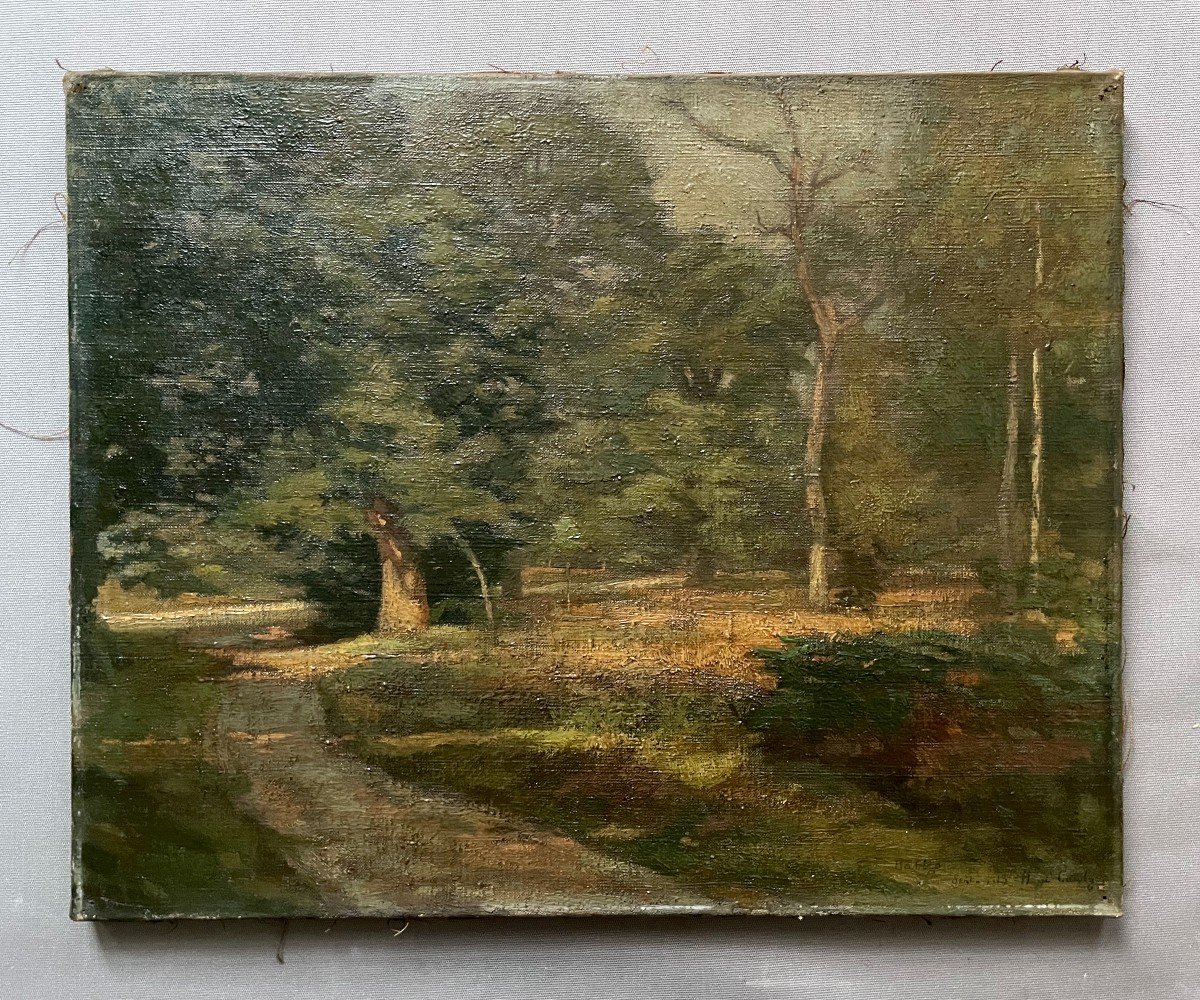 Chemin En Sous Bois, Huile Sur Toile, Signature à Identifier-photo-2