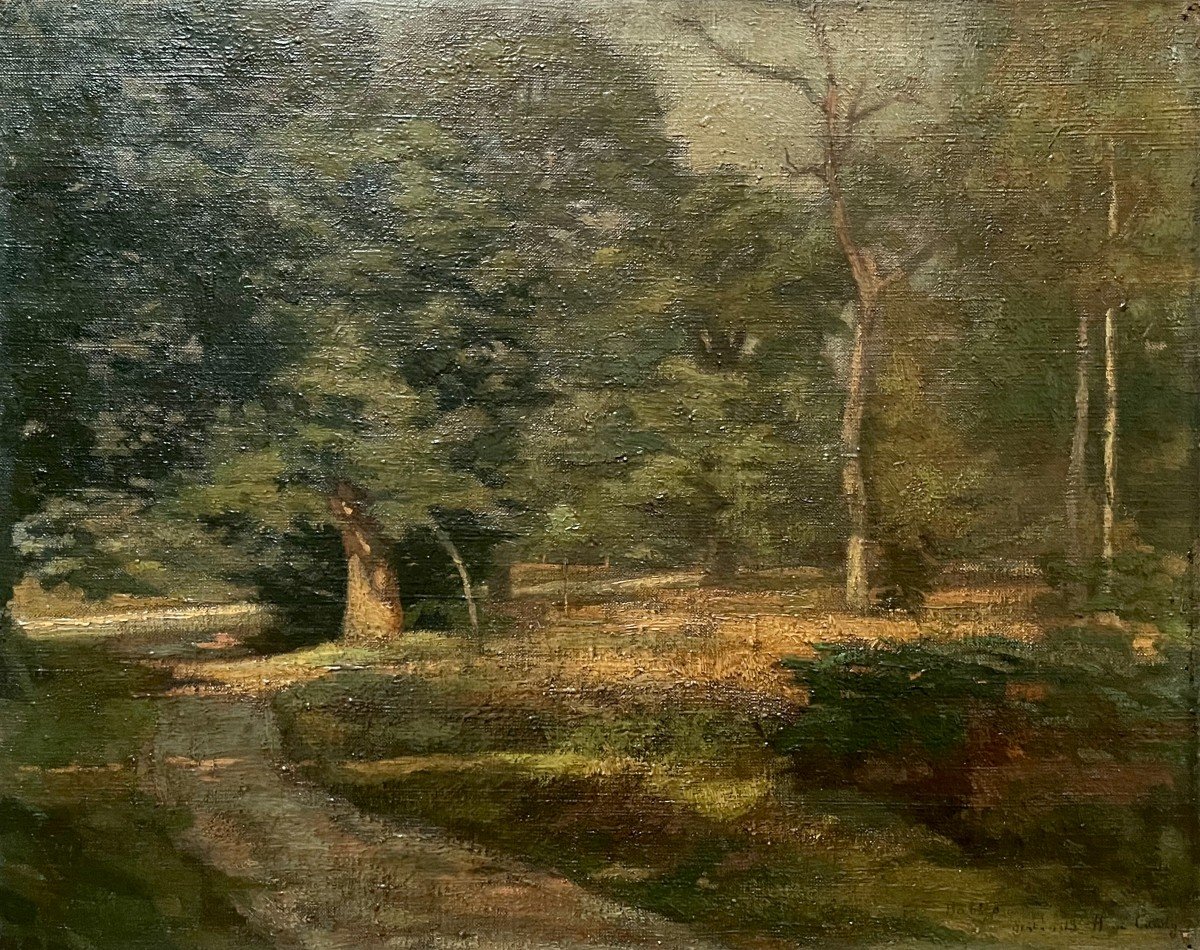 Chemin En Sous Bois, Huile Sur Toile, Signature à Identifier