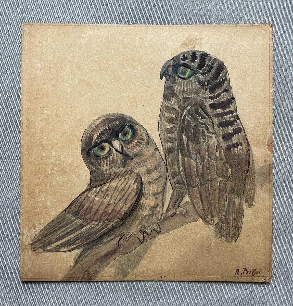 Raymond Bigot, Chouettes, Aquarelle-photo-2