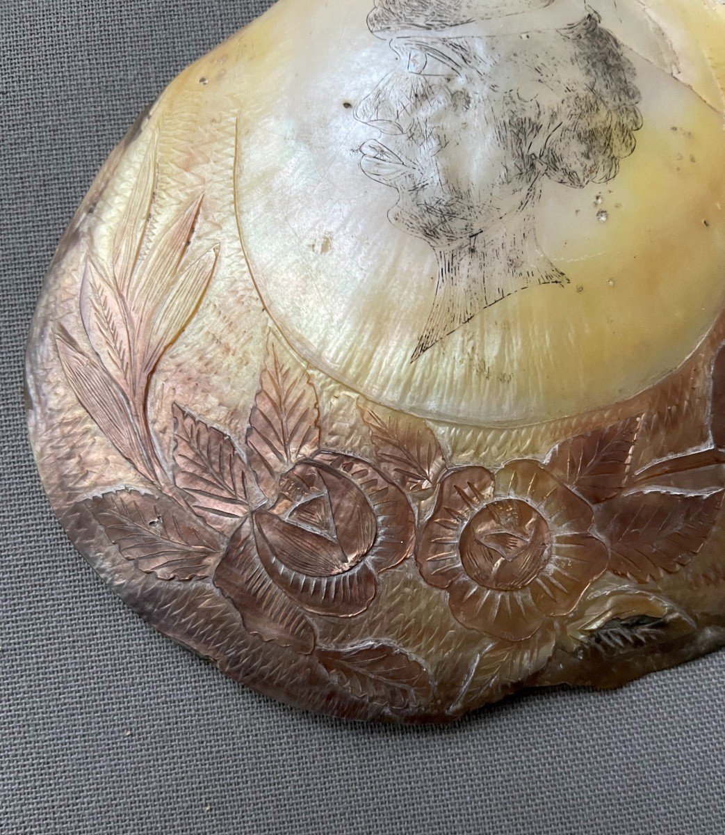 Mother-of-pearl From Convict, New Caledonia-photo-3