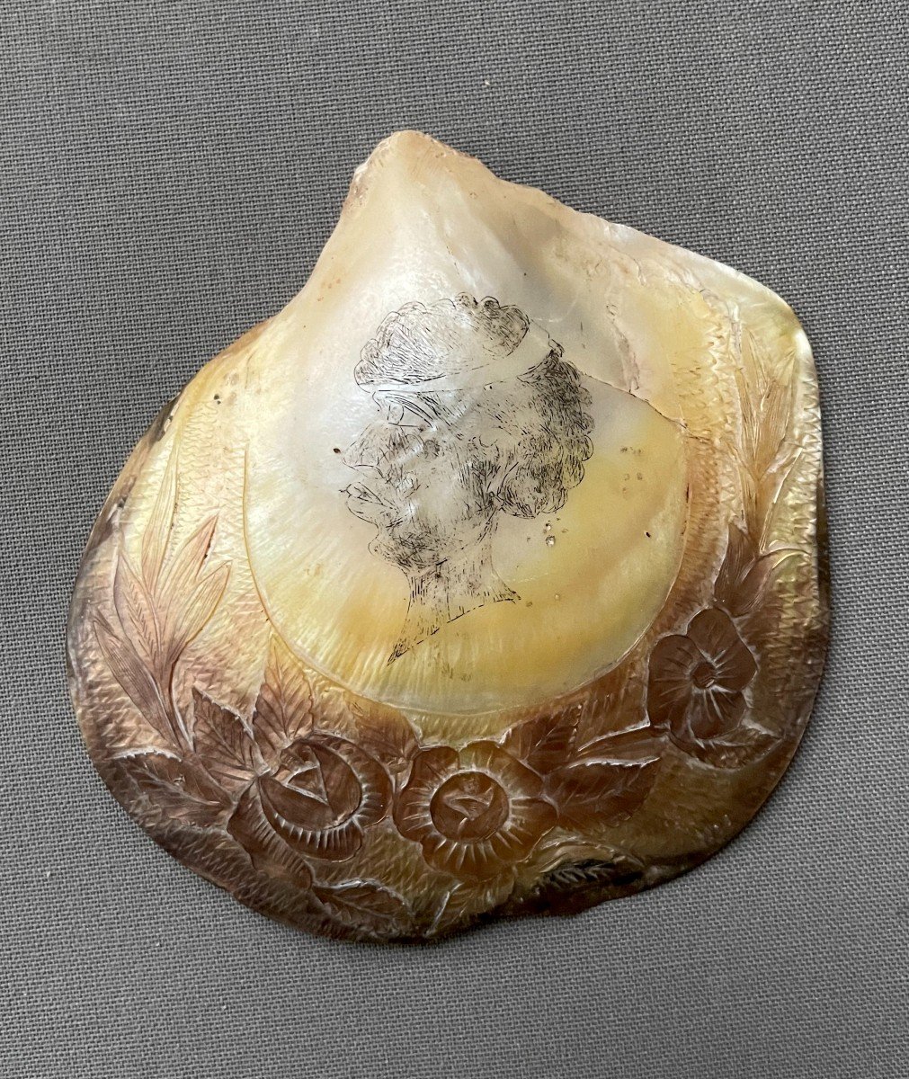 Mother-of-pearl From Convict, New Caledonia