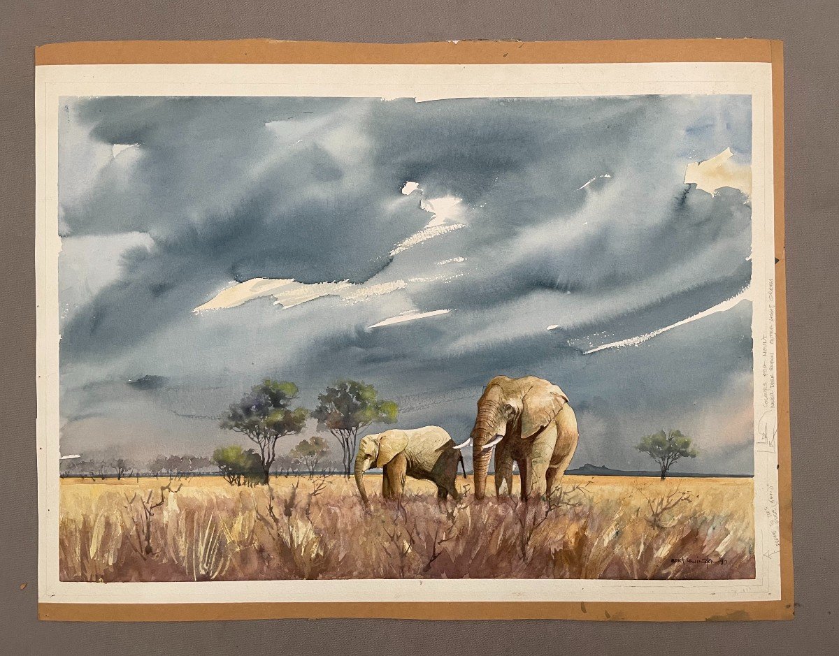 Bert Lewington, Elephants In The Savannah, Watercolor-photo-2