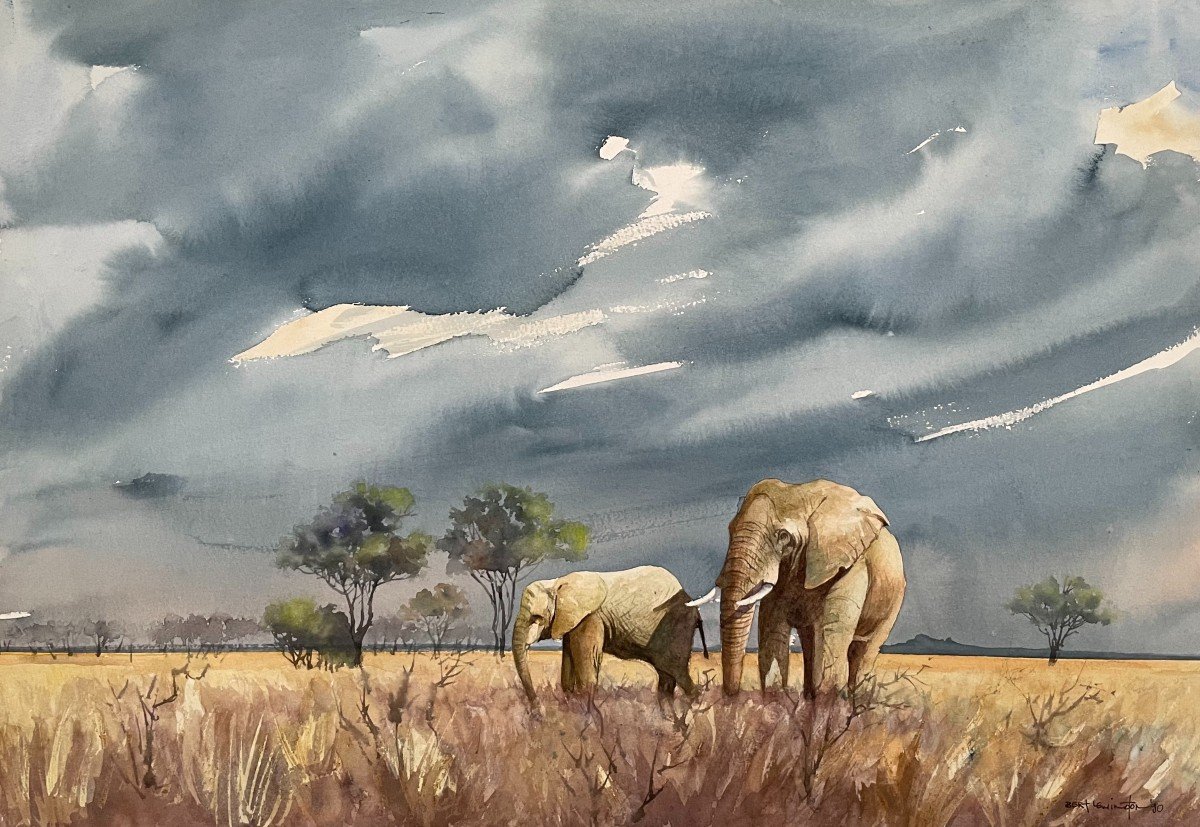 Bert Lewington, Elephants In The Savannah, Watercolor