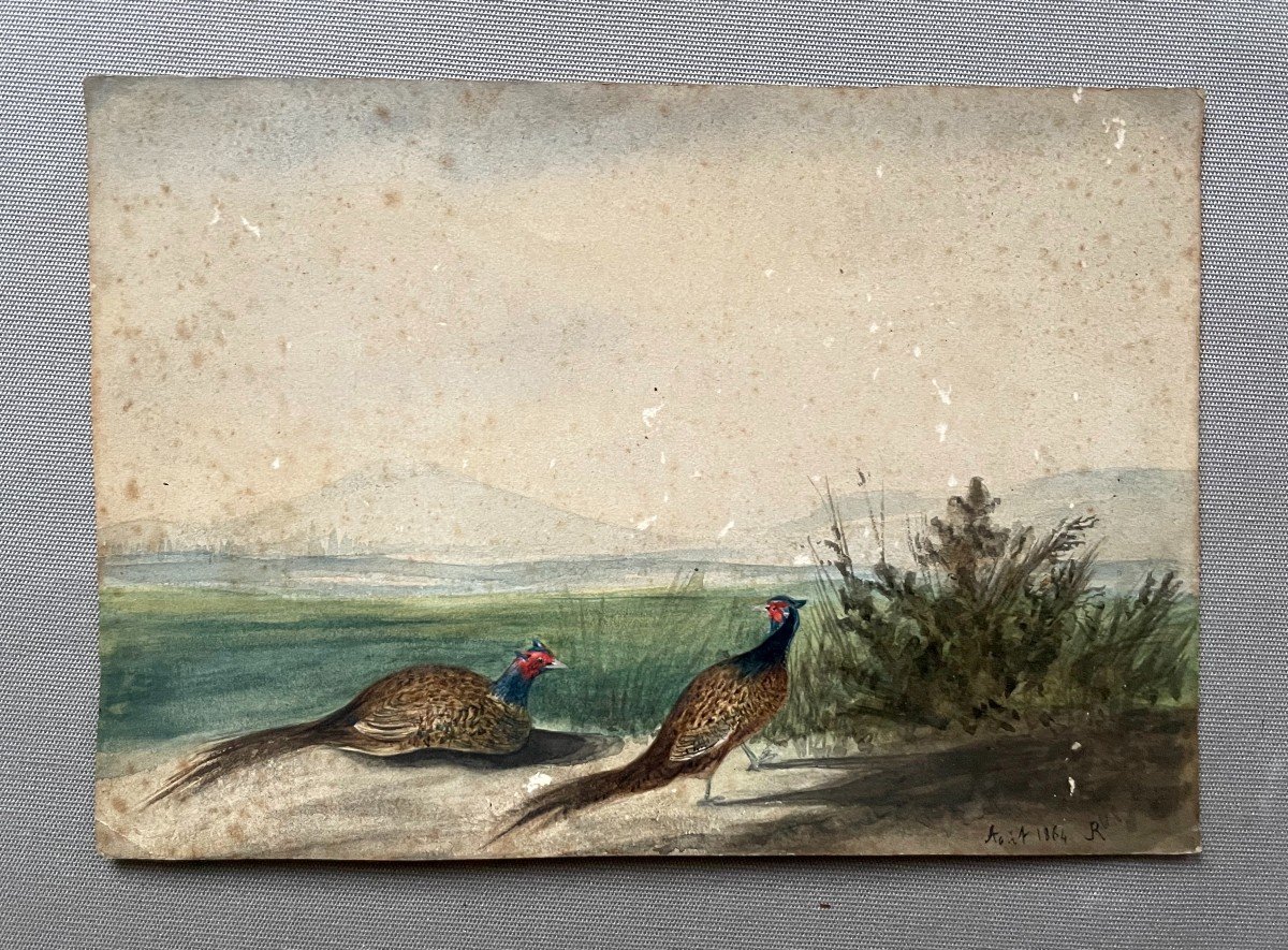 Pheasants, Watercolor Dated 1864