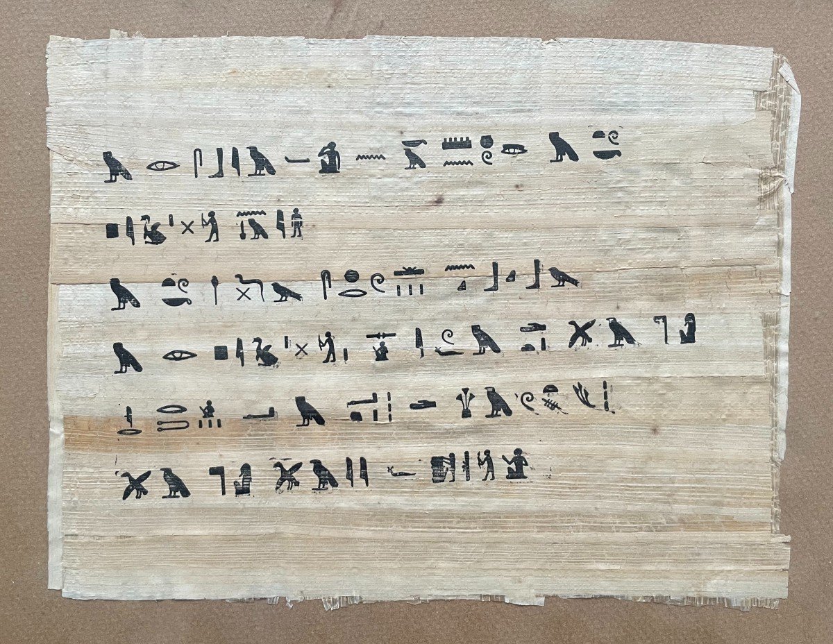 Egyptian Papyrus-photo-2