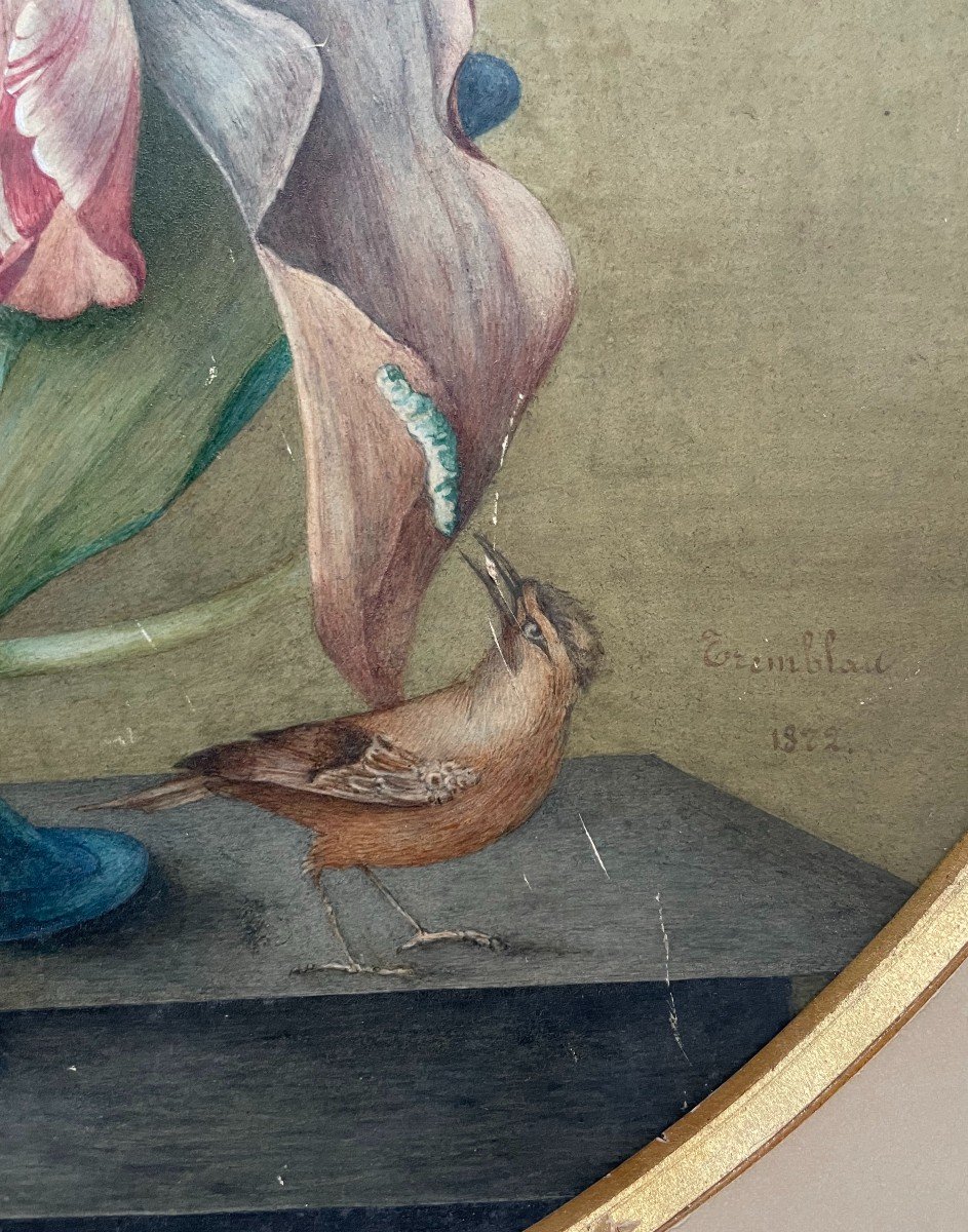 Bouquet Of Tulips, Bird And Caterpillar, Large 19th Century Watercolor, Signature To Identify-photo-4