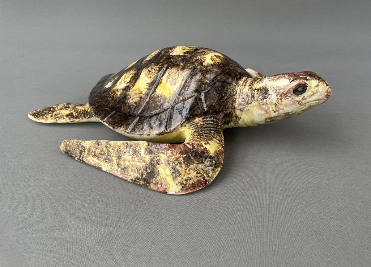 Large Ceramic Turtle-photo-2